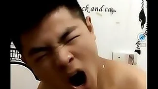 Gay TV 23